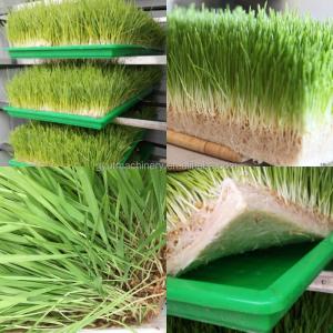 650 KG Capacity Barley Grass Growing Machine for Container Hydroponic Fodder
