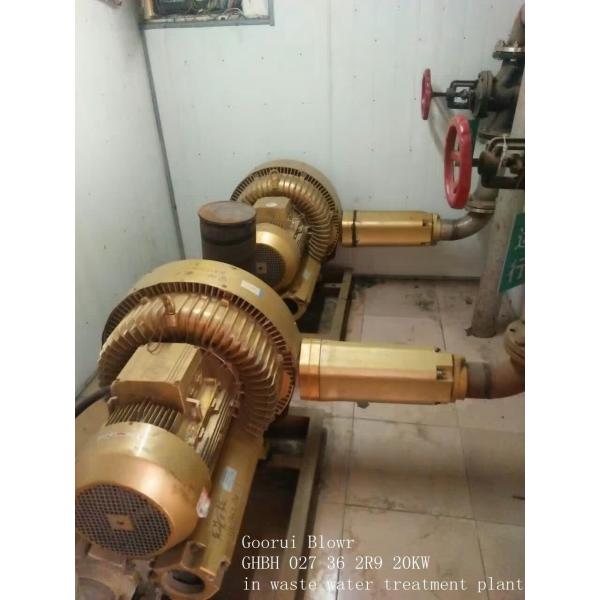 220 V Single Phase Goorui Side Channel Blower , Electric Air Blower With Air Pump