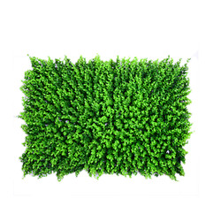 Low Price 40*60cm Artificial Lawn Leaf Grasses Plants Wall