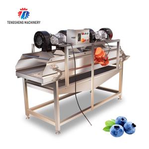 Stainless Steel Vegetable Processing Machine 4.25KW Fruit Air Dryer