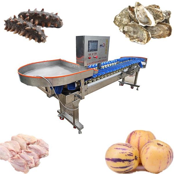 1000g Fish Seafood Fruit Conveyor Automatic Weight Sorting Machine