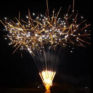 Chinese Customized New Year Firework Cake 100 Shots Pyrotechnics Consumer Cake Fireworks