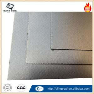 Chemical Resistant Graphite Gasket Sheets for Pharmaceutical and Biotech