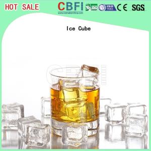 Auto Operation Ice Cube Machine , Industrial Ice Maker 10,000 Kg Daily Capacity