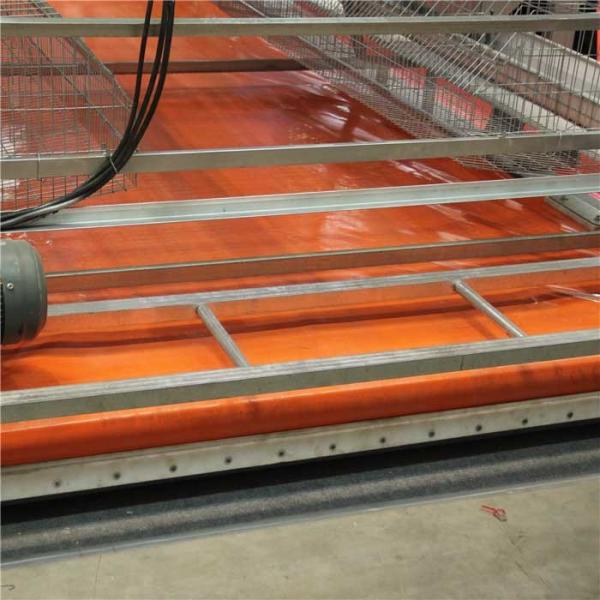 Quality Automatic Control Poultry House Cleanout Equipment , Powerful Poultry Farm Cage wholesale