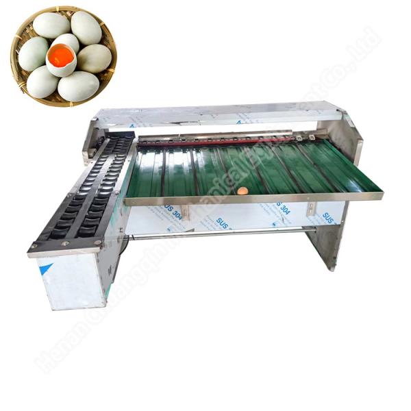 Quality Egg Sorting Machine By Weight Sorting Line For Sorting Eggs	 Egg Sorting Grading Machinery wholesale