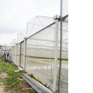 Rain Resistant Hydroponic Greenhouse Systems With Galvanized Support