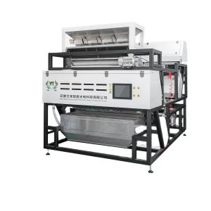 China Multi-function Belt Type Color Sorter for Cashew Nuts Garlic Chilli Walnut Sorting Process Machine on sale