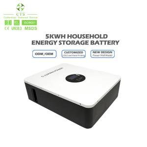 Household Solar Energy Storage System with 5kWh 51.2V 100Ah LiFePO4 Battery