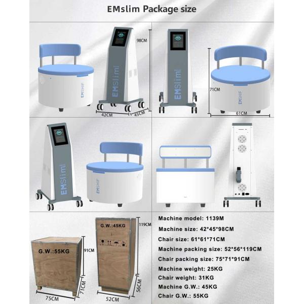 Rectus Abdominis 13 Tesla EMS Muscle Stimulator Machine PRIVATE THERAPY CHAI