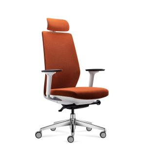 Ergonomic Mesh Modern Office Chairs Lumbar Support Adjustment Customizable