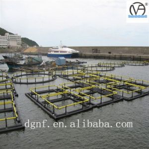 HDPE Fish Farming Cage with 50000 Ton Production Capacity and 50-Year UV