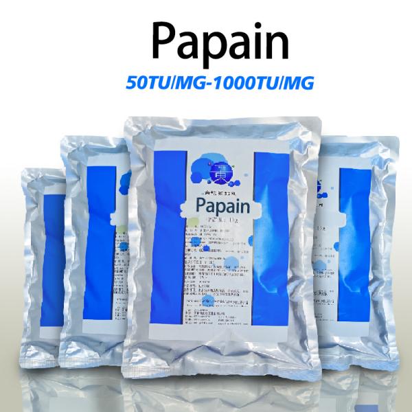 Quality 300USP-6000USP Papain Papaya Enzyme FSSC22000 MUI Kosher System Certification wholesale