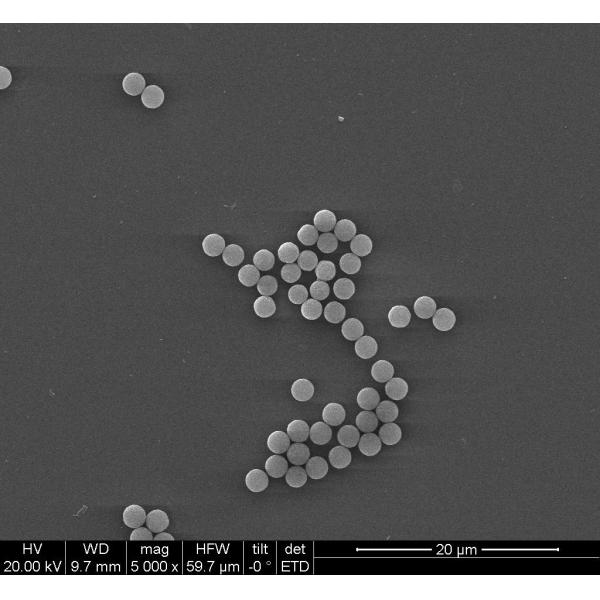 BeaverBeads 100 ML Magnetic Beads With 10 Mg/ML Concentration For Protein