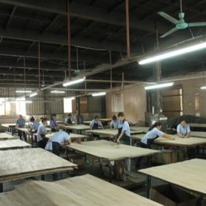 New Design Of Engineered Chinese Oak Wood Veneer Sheet NCO-L891N/L268N 0.3mm