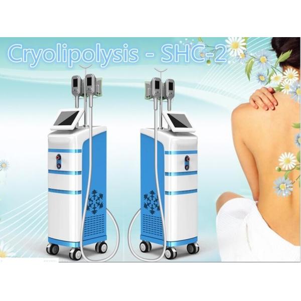 Quality Cryolipo fat freezing machine for body shaping wholesale