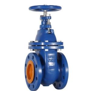 Resilient Seated Gate Valve Flanged A105 WCB Body CS Gate Valve RTJ Rising Stem