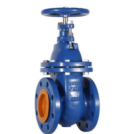 Resilient Seated Gate Valve Flanged A105 WCB Body CS Gate Valve RTJ Rising Stem