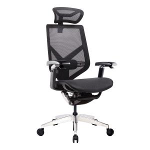 Aluminum Backrest Height Adjustable 3D Headrest 5D Armrest Mesh Back Office