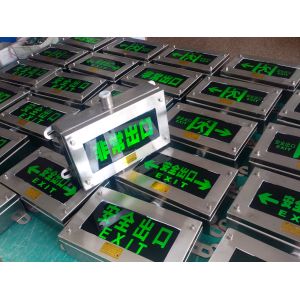 Wall Mounted 3W 120 180 Mins Emergency Escape Light Custom Colors LED Indicators