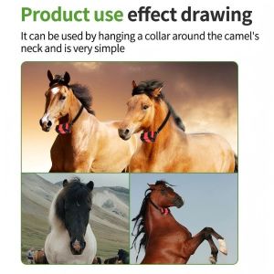 Compact Horse GPS (412g) Long-Lasting Power With Historical Trajectory And Real