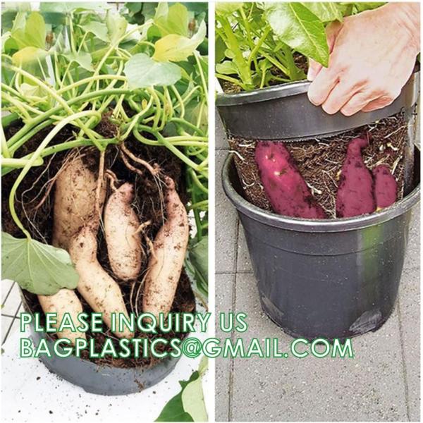 Quality 29cm Potato Planting Pot Nursery Pot For Ginger Peanut Potato Custom 5 7 10 Gallon With Window Open wholesale