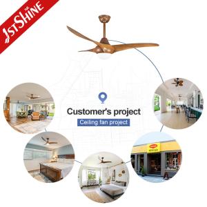 Plastic Blade Inverter 60W Electric Ceiling Fan Indoor Decorative Lighting