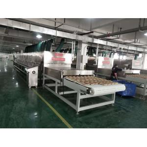 Customized Stainless Steel Microwave Vacuum Drying Equipment for Optimal