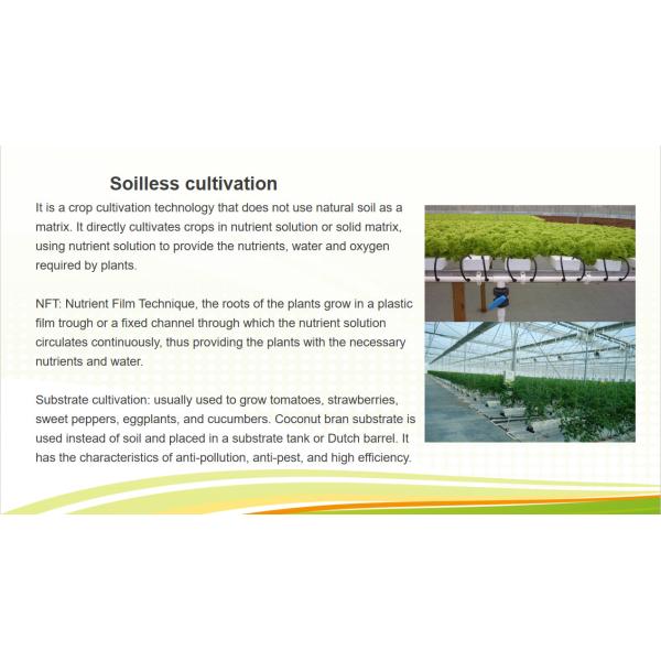 Commercial Multi Span Greenhouse Plastic Film Greenhouse For Vegetable Growing