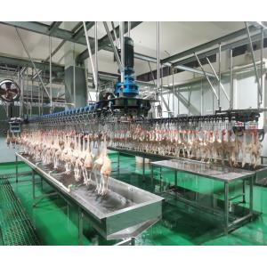 China Stainless steel 304 poultry chicken slaughter machine with capacity 0f