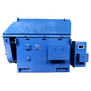 Three Phase Medium Voltage Induction Motor High Voltage Explosion Proof