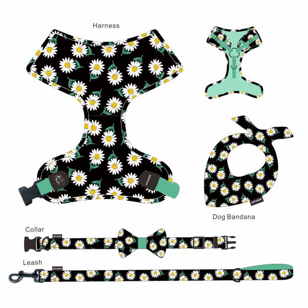 Velvet Walking Cat Harness Vest