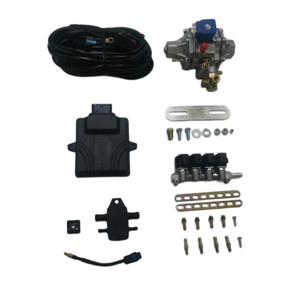 CNG Mini Conversion Kits With 48 Pin ECU 4 Cylinder Injector Rail For CNG GNV