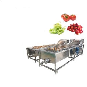 China 1200kg/H Apple Pear Mango Fruits And Vegetables Cleaning Machines on sale