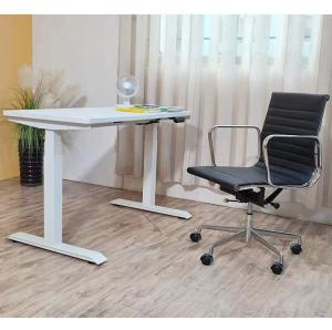 Cheap Adjustable Height Kid Computer Study Standing Table with Dual Motor in Custom Design for sale