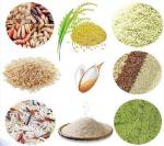 Reconstituted Instant Rice Machine , PLC Control Artificial Rice Processing Line