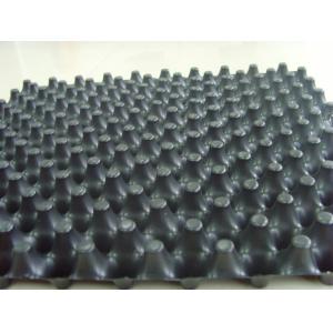 Cuspated HDPE Dimple Drainage Sheet for Vertical Wall Waterproofing and Drainage
