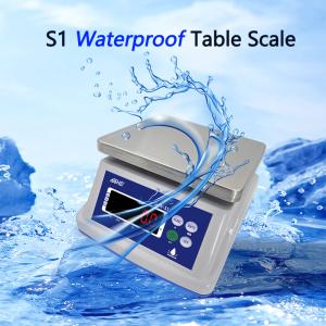 Double Layer Structure 30KG Waterproof Scale with Precision Sensor and LED