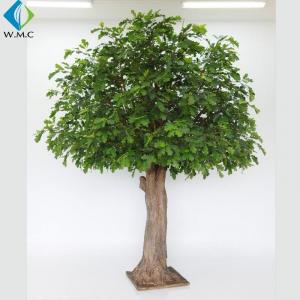 China 5-10 Years Lifetime Artificial Evergreen Trees , Coffee Shop Ornament Fake Oak Tree on sale