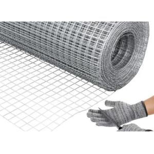 Galvanized Welded Wire Mesh With Protective Plastic Paint