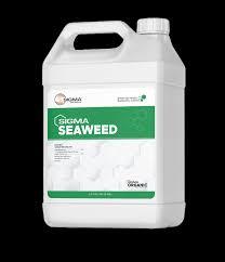 Seaweed Extract 400g/L Total Nitrogen ≥1% for Environmentally-Friendly