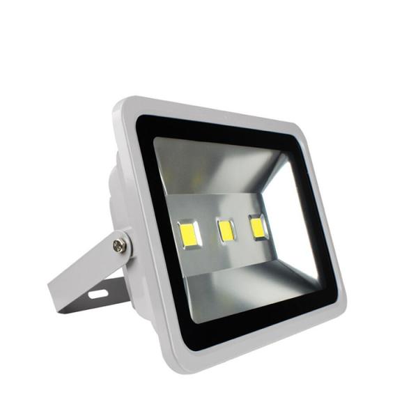 50w Cob Waterproof Ip65 Rgb Led Flood Light , Commercial Outdoor Led Floodlights