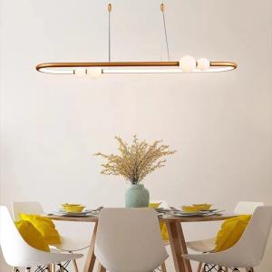Nordic Simple Gold Paint Scrub Ring Chandelier Modern Pendant Light ODM AC110V