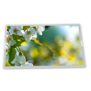 Cheap stock Compatible 15.0-Inch WLED LCD Display Module Customizable 1024*768 Resolution ODM G150XG03 V.4 Modules for sale