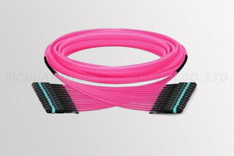 Quality Pink Cable MPO Connectors Female MPO to Male MPO ROHS Certification wholesale