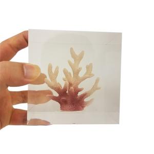 Transparent resin cube brick paperweight with Coral inside