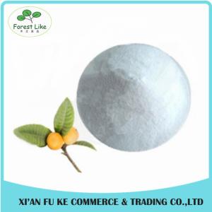China Free Sample Loquat Leaf Extract Ursolic Acid 90 % on sale