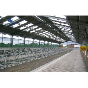 AiSi Standard Welding Dairy Cow Farm Shed House with Customized Processing