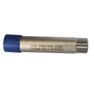 1/2" Welding DIN2999 Dnl200 Threaded Pipe Nipples