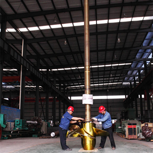 Francis Kaplan Water Turbine Parts Runner Vertical Horizontal 150RPM-1000RPM